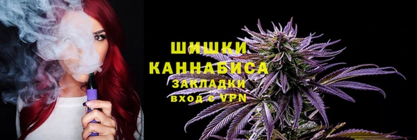 apvp Алзамай