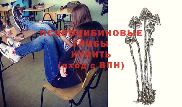 спиды Алексин