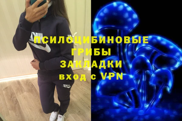 спиды Алексин