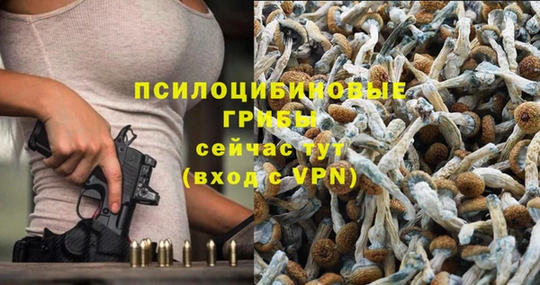 хмурый Абинск