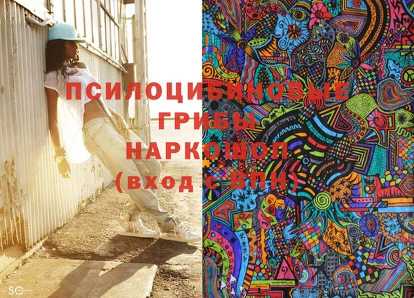 apvp Алзамай
